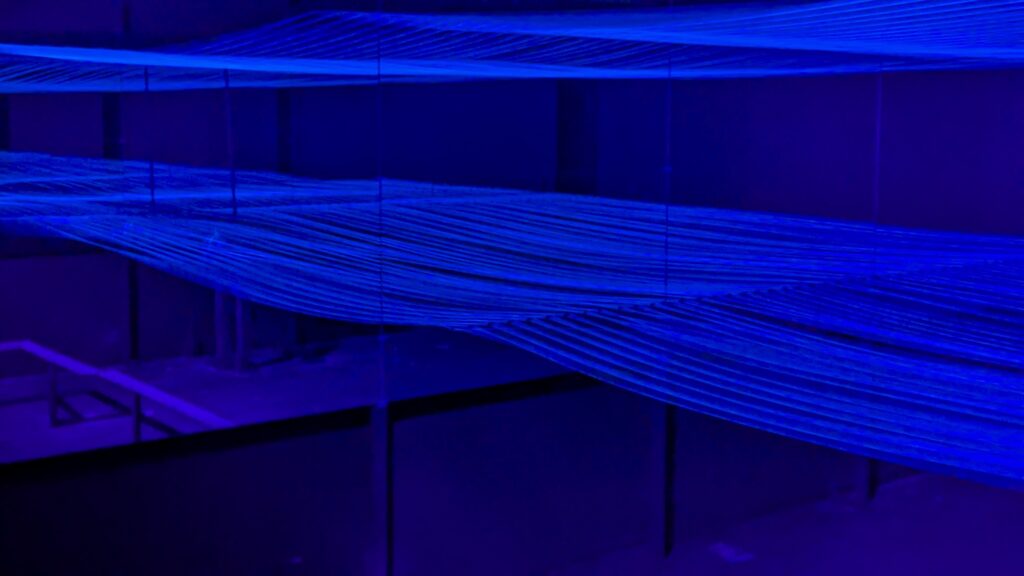 gallary_2