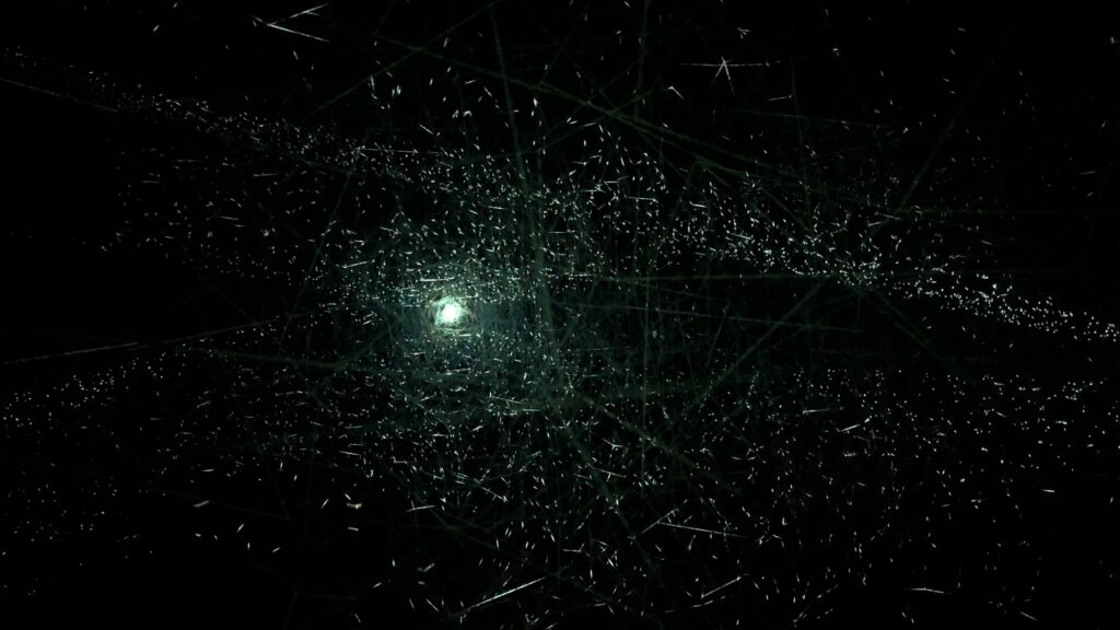 gallary_1